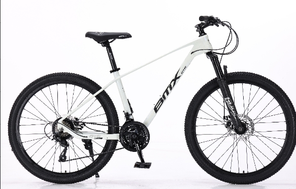 HL Bicicleta-GTR-908