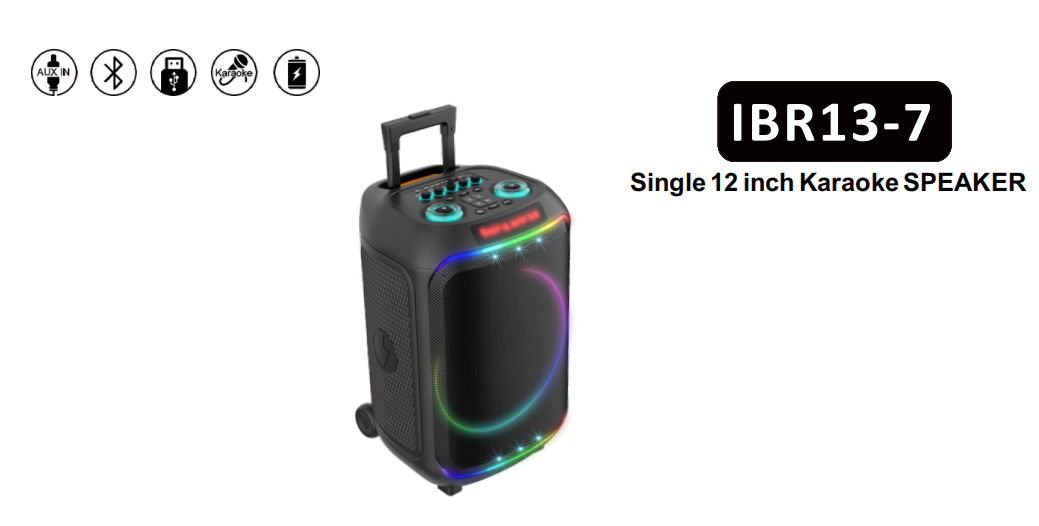 12 inch stereo IBR13-7